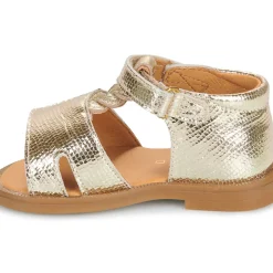 GBB - LORIE*