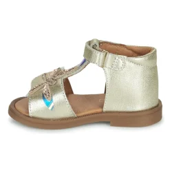 GBB - LUCIA