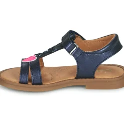 GBB - MURIA