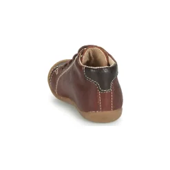 GBB - NOE