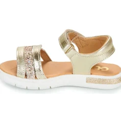 GBB - OCEANE