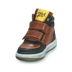 GBB - ODAFI