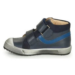 GBB - OMALLO
