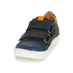 GBB - ORSO