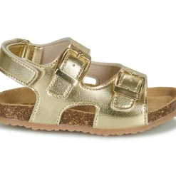 GBB - REBECCA