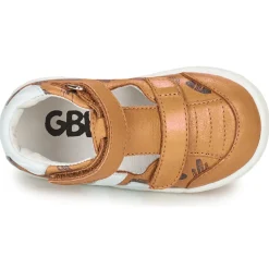 GBB - SAMBO FLEX