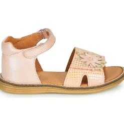 GBB - SATIA