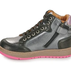 GBB - SEPHY