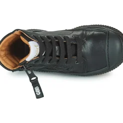 GBB - TREGIS