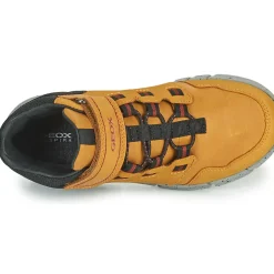 Geox - FLEXYPER ABX
