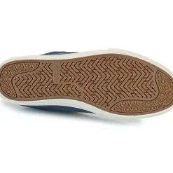 Globe - Gillette Mid