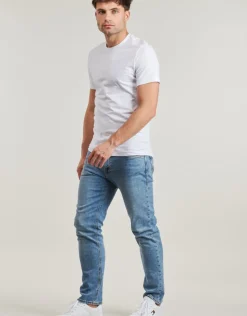 Guess - AIDY