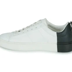 Guess - NEW VICE