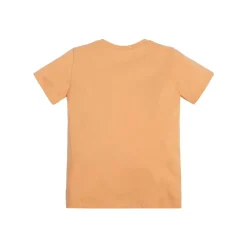 Guess - SS TSHIRT CORE