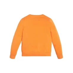 Guess - SWEAT