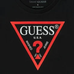Guess - THERONN