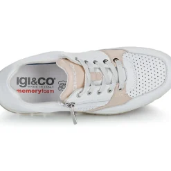 IgI&CO - D.ANIKA