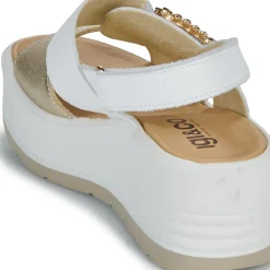 IgI&CO - D.CLEA