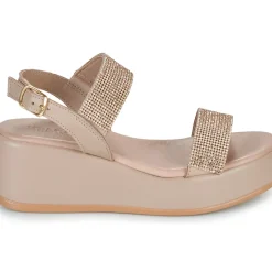 IgI&CO - DONNA ENGY