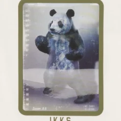Ikks - XR10101