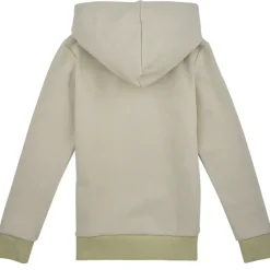 Jack & Jones - JJELOGO SWEAT HOOD 2 COL 24 SNJNR