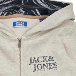 Jack & Jones - JORCRAYON SWEAT ZIP HOOD