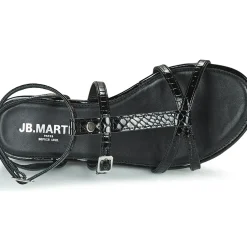 JB Martin - ALICIA