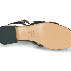 JB Martin - HARIA