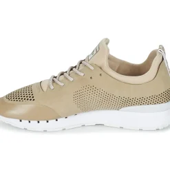 Kangaroos - COIL 2.0 MONO