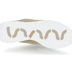 Kangaroos - COIL 2.0 MONO