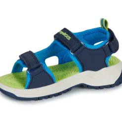 Kangaroos - K-AS Ture