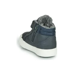 Kangaroos - KAVU I