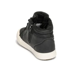 Kangaroos - KAVU I