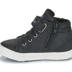 Kangaroos - Kavu III