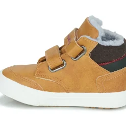 Kangaroos - KAVU PRIMO