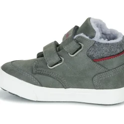 Kangaroos - KAVU PRIMO