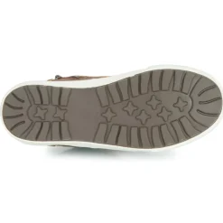 Kangaroos - Kavu X