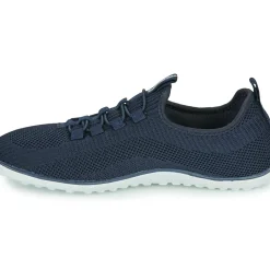 Kangaroos - K-BF Bole