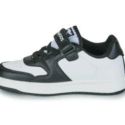 Kangaroos - K-CP Fair EV