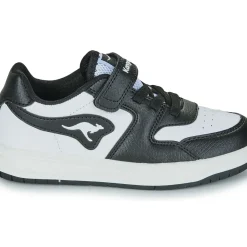 Kangaroos - K-CP Fair EV