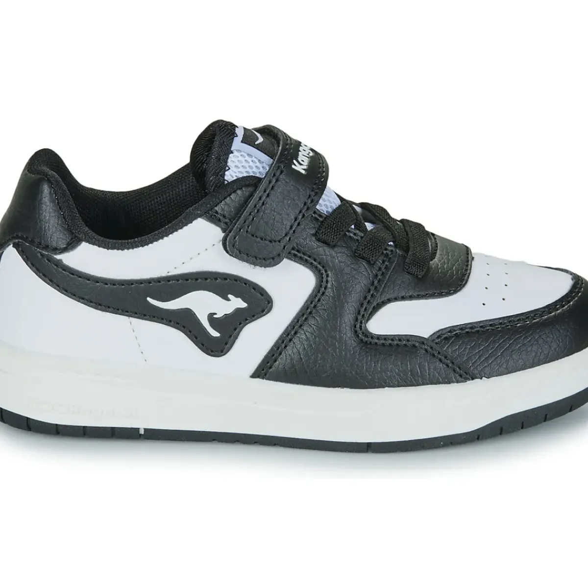 Kangaroos - K-CP Fair EV