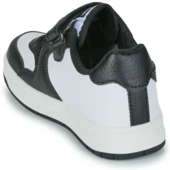 Kangaroos - K-CP Fair EV