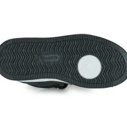 Kangaroos - K-CP Kalley II EV