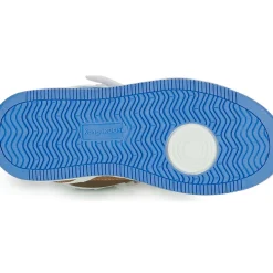 Kangaroos - K-CP Kalley II EV