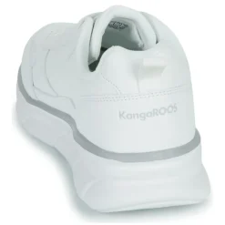 Kangaroos - K-CR Adina