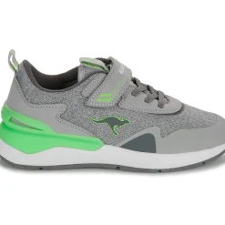 Kangaroos - KD-Gym EV
