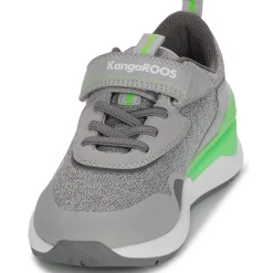 Kangaroos - KD-Gym EV