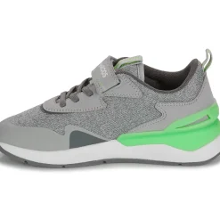 Kangaroos - KD-Gym EV