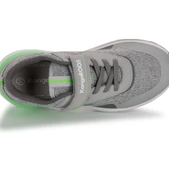 Kangaroos - KD-Gym EV
