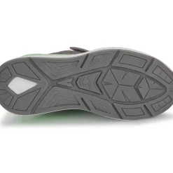 Kangaroos - KD-Gym EV